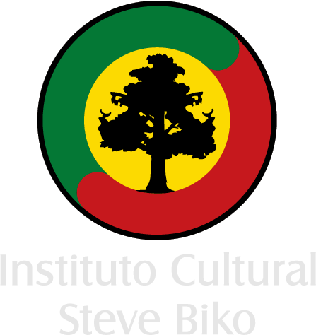 Instituto Steve Biko